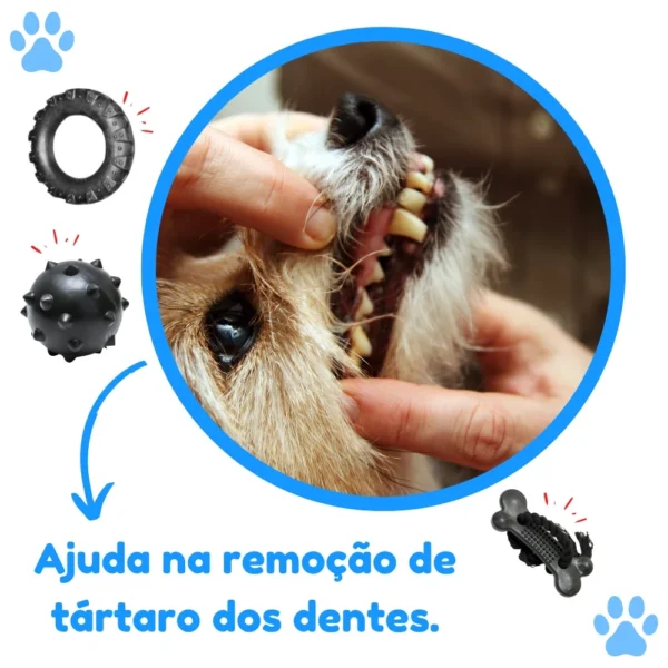 Diversão e Saúde Dental - Kit Mordedor para Cachorro com Pneu G, Bola Cravo e Osso Grande - Image 5