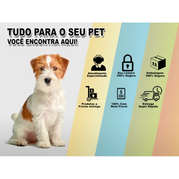 Prático e Moderno - Kit Bebedouro e Comedouro Automático para Cachorro e Gato  3 Litros de Capacidade - Image 3